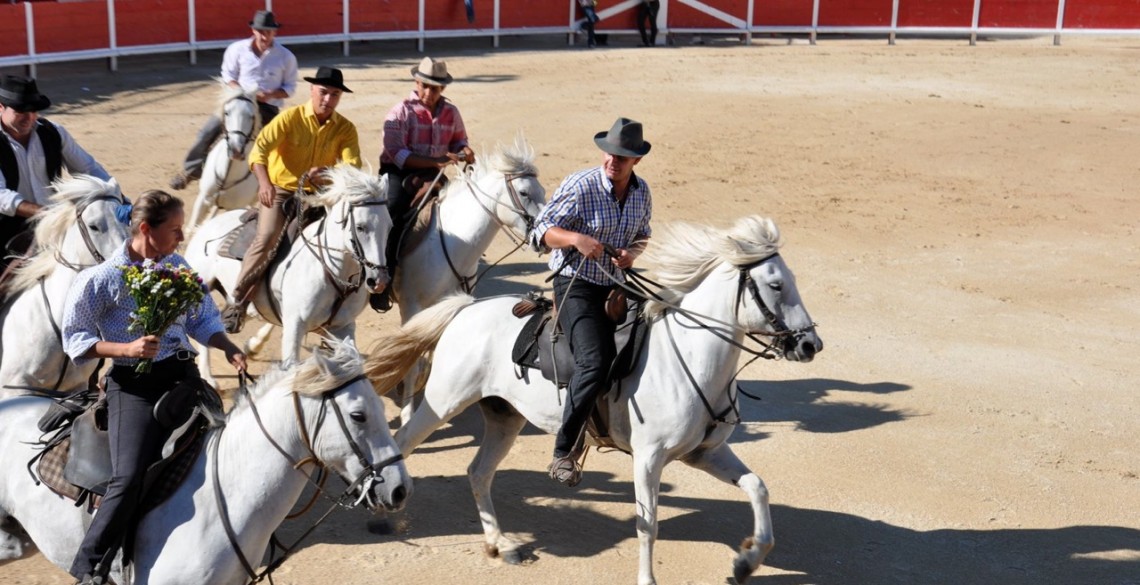 Horses of the Camargue - Grau du Roi